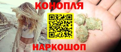 шишки Заводоуковск