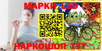 шишки Заводоуковск