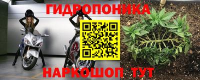 шишки Заводоуковск