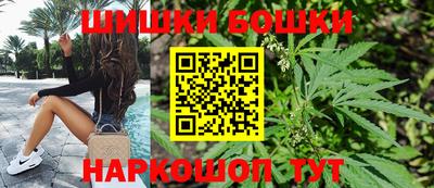 хмурый Жуковский