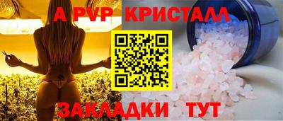 шишки Заводоуковск