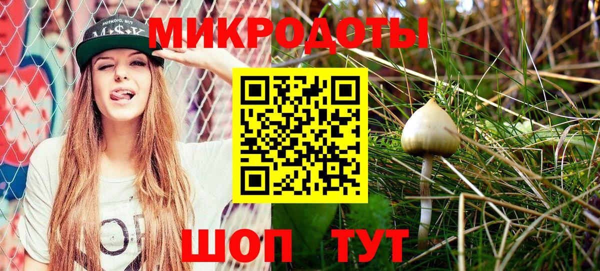 Псилоцибиновые грибы GOLDEN TEACHER Добрянка