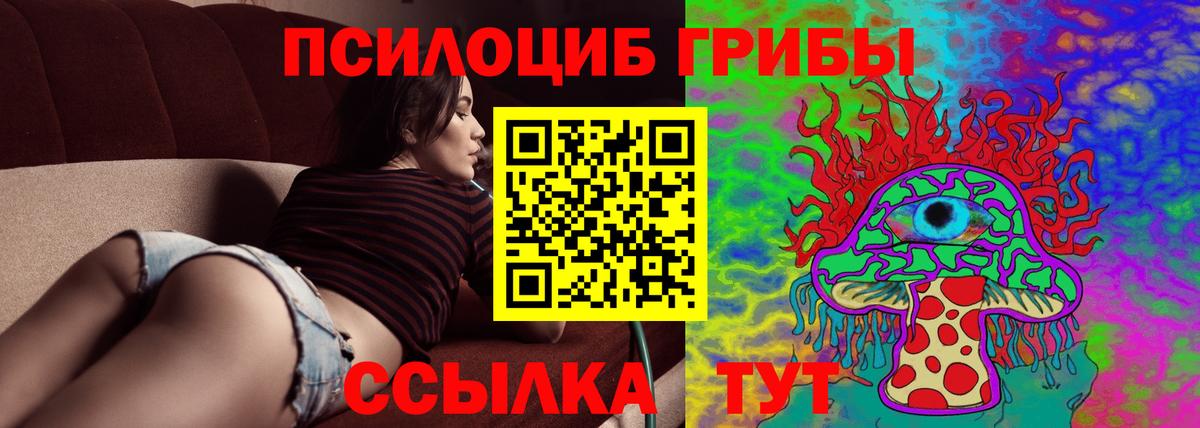 Добрянка  Псилоцибиновые грибы MAGIC MUSHROOMS  Вход с VPN  Псилоцибиновые грибы Cubensis 
